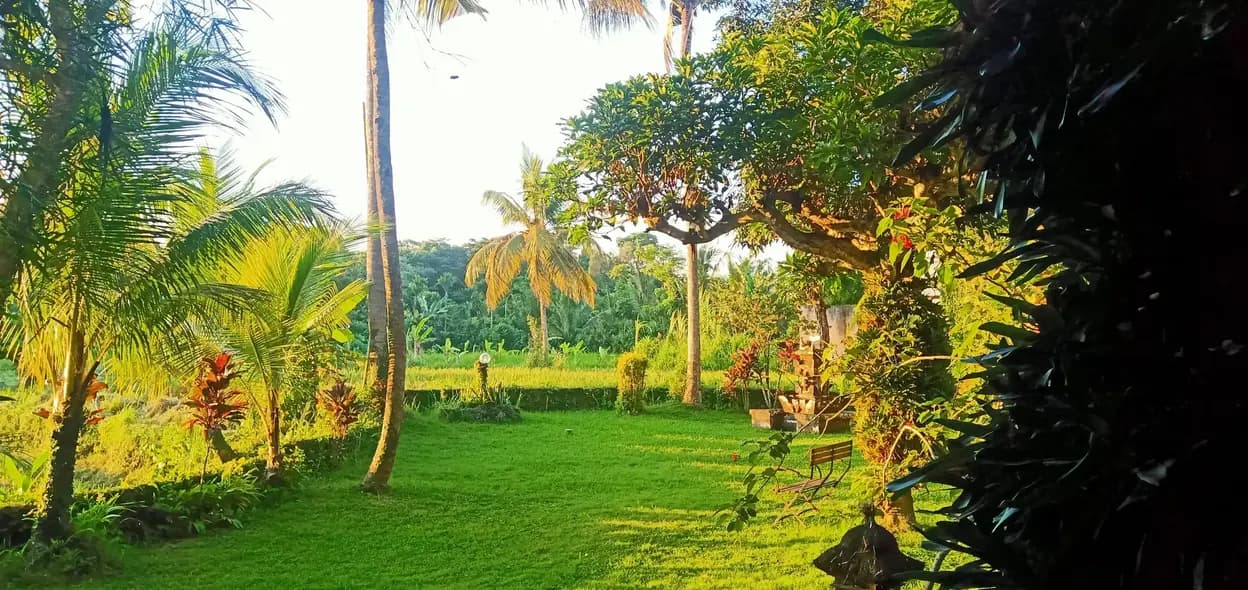 background2